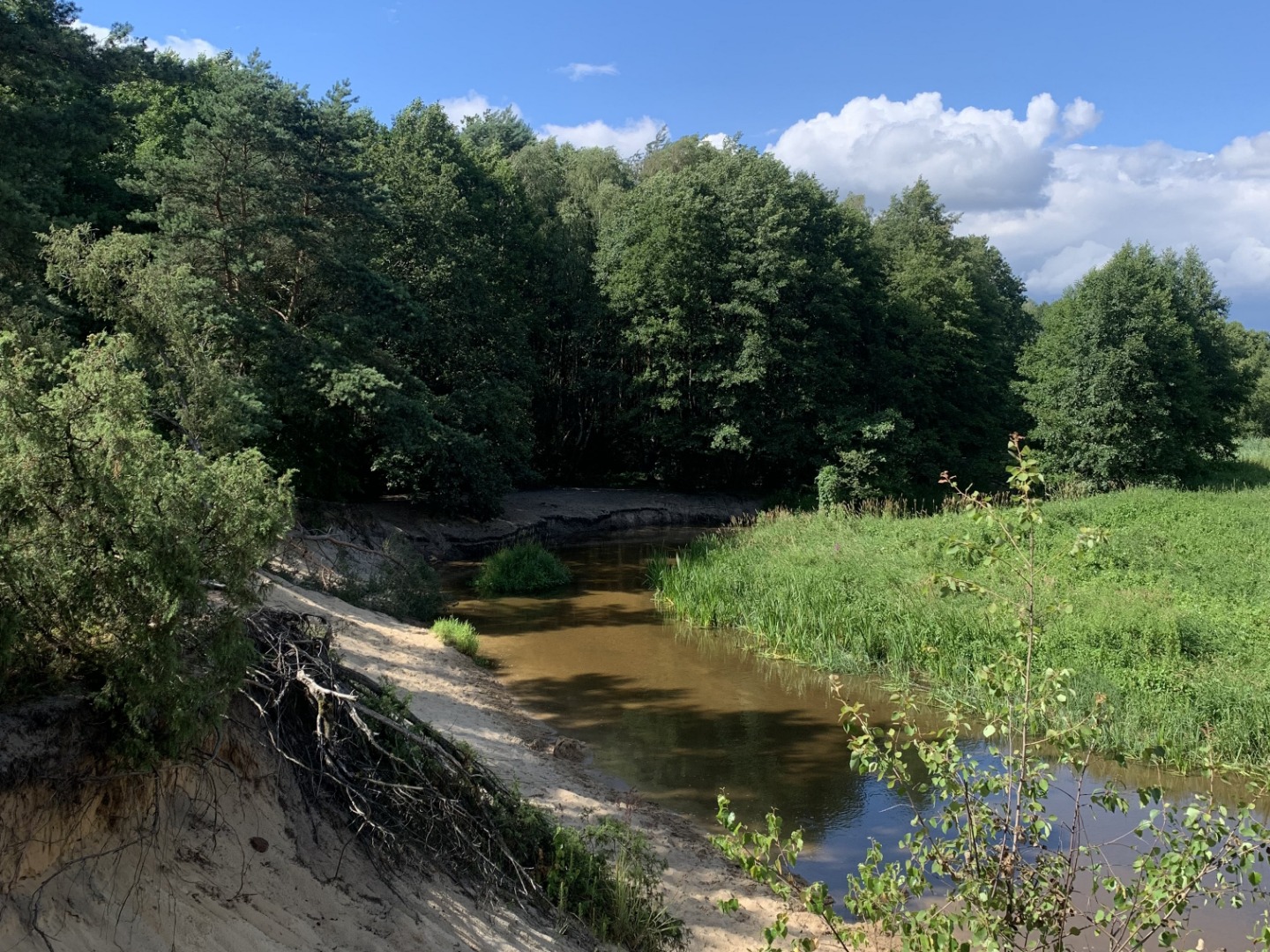 Piaskowa Góra nad Grabią