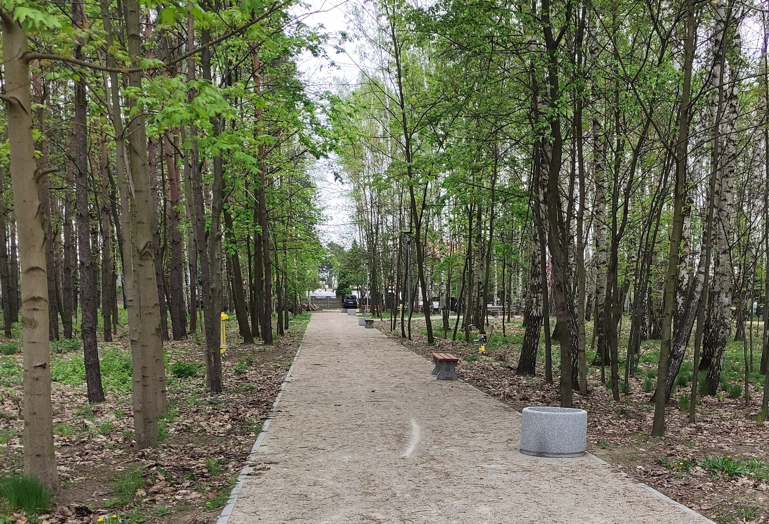 Park z alejkami w Bedoniu Przykościelnym