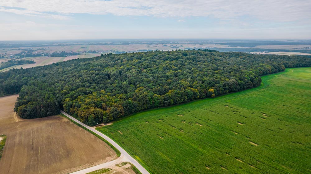 Rezerwat przyrody Góra Chełmo