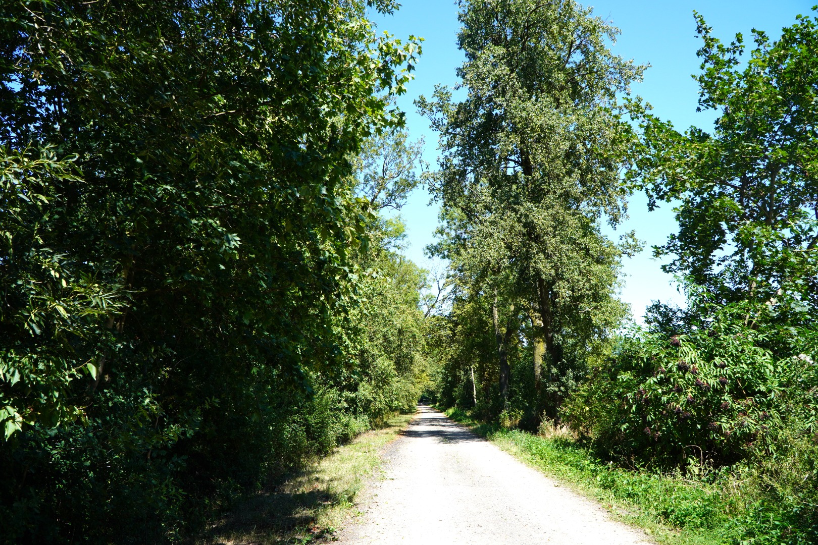 Rezerwat Przyrody Wolbórka