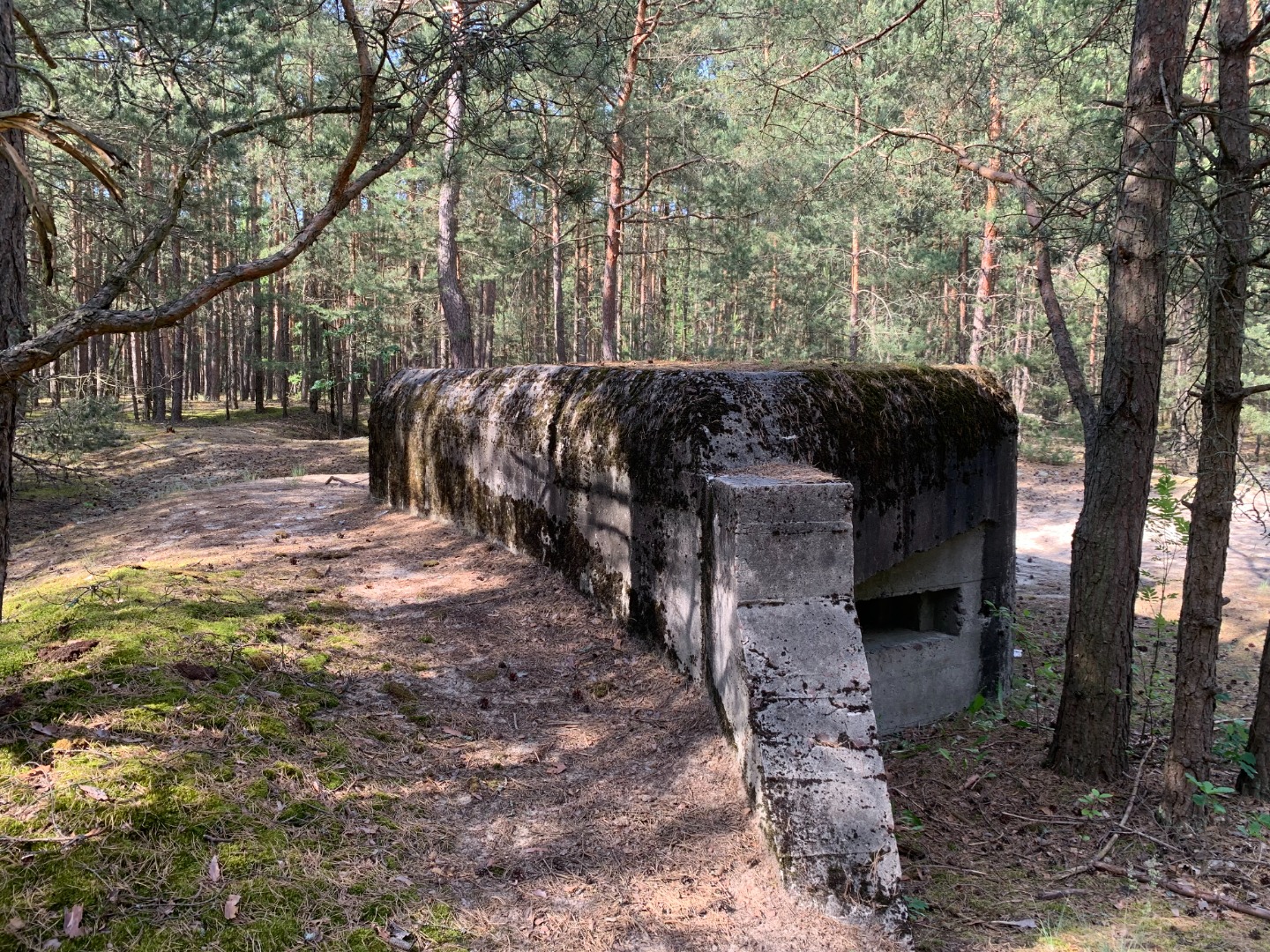 Polski schron bojowy z 1939 roku