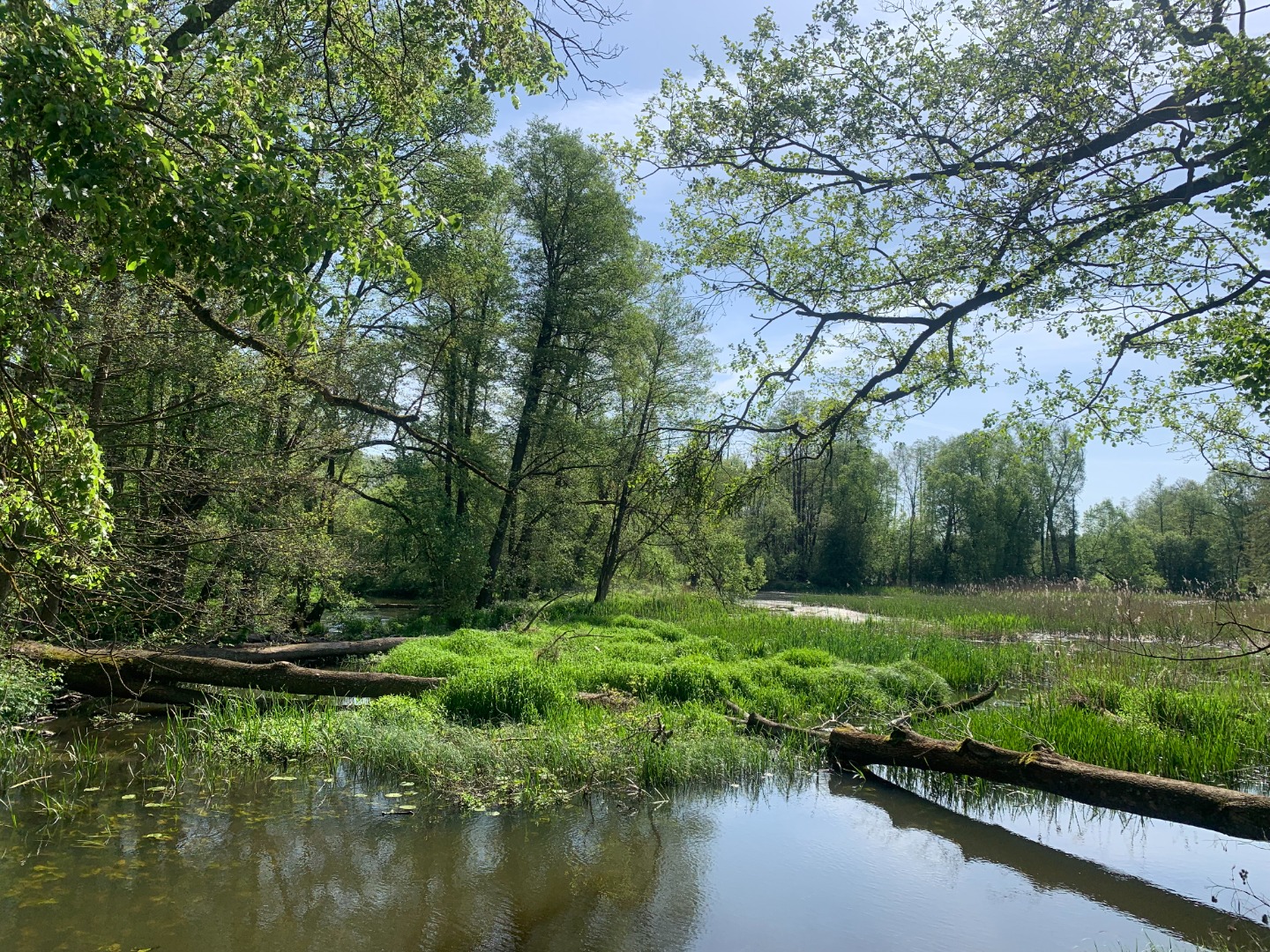 Szlak kajakowy rzeki Grabi