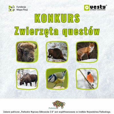 Zwierzęta questów