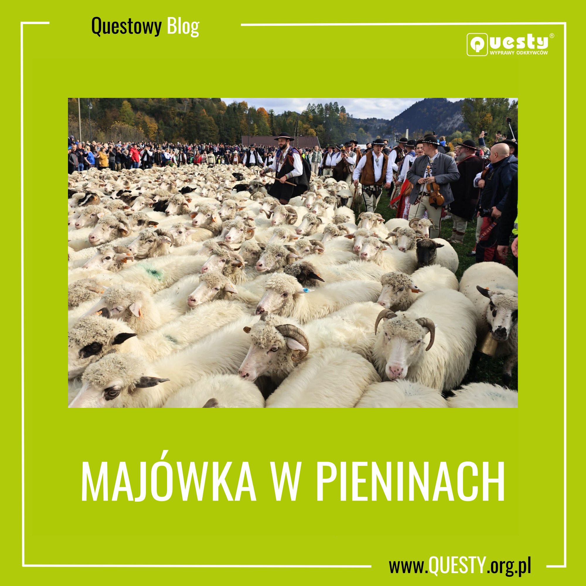 Majówka w Pieninach