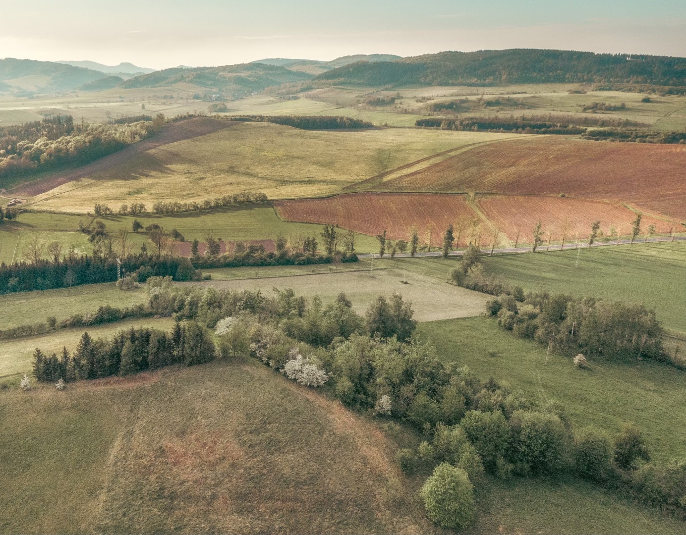 Pustelnik z questem poznany