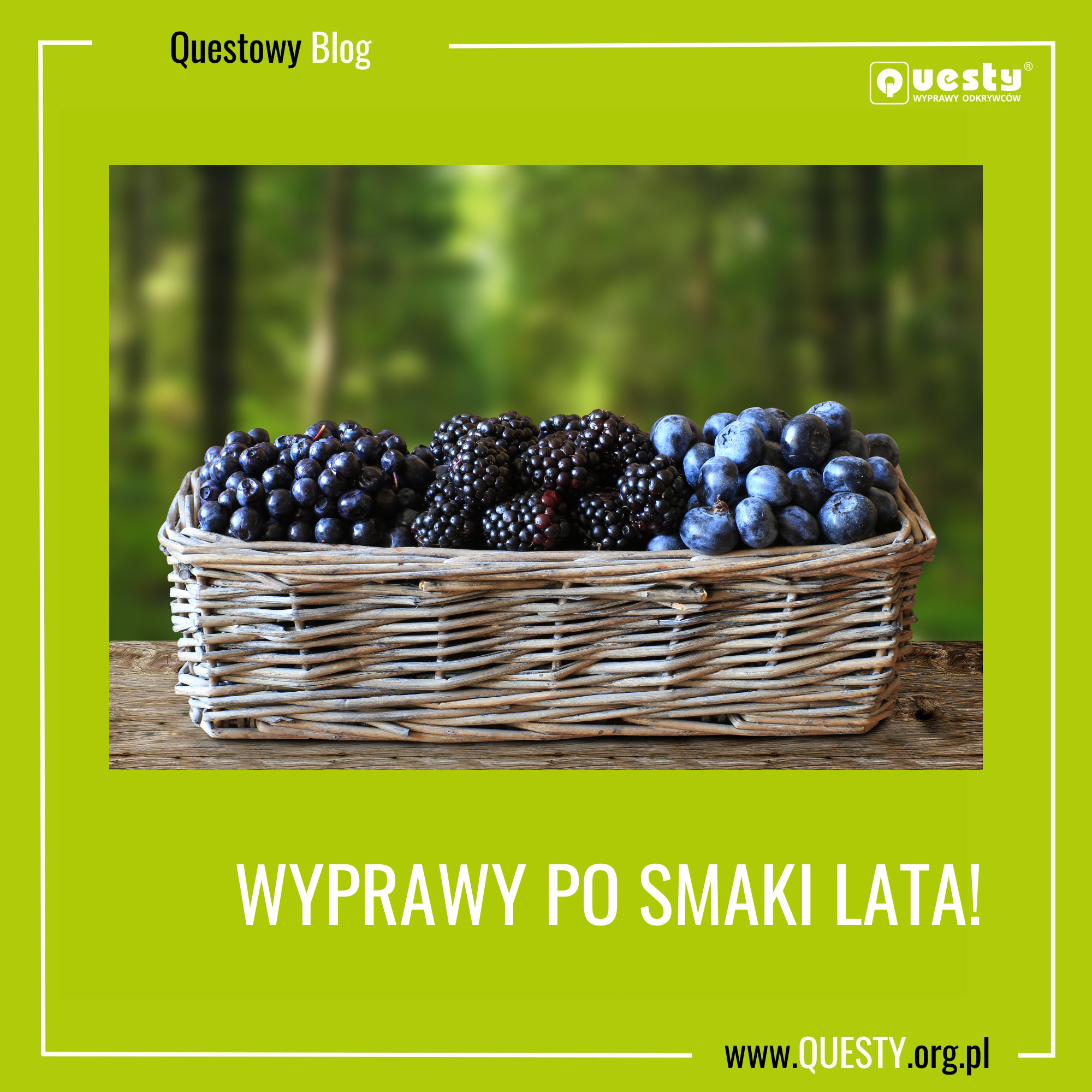 Questowe wyprawy po smaki lata