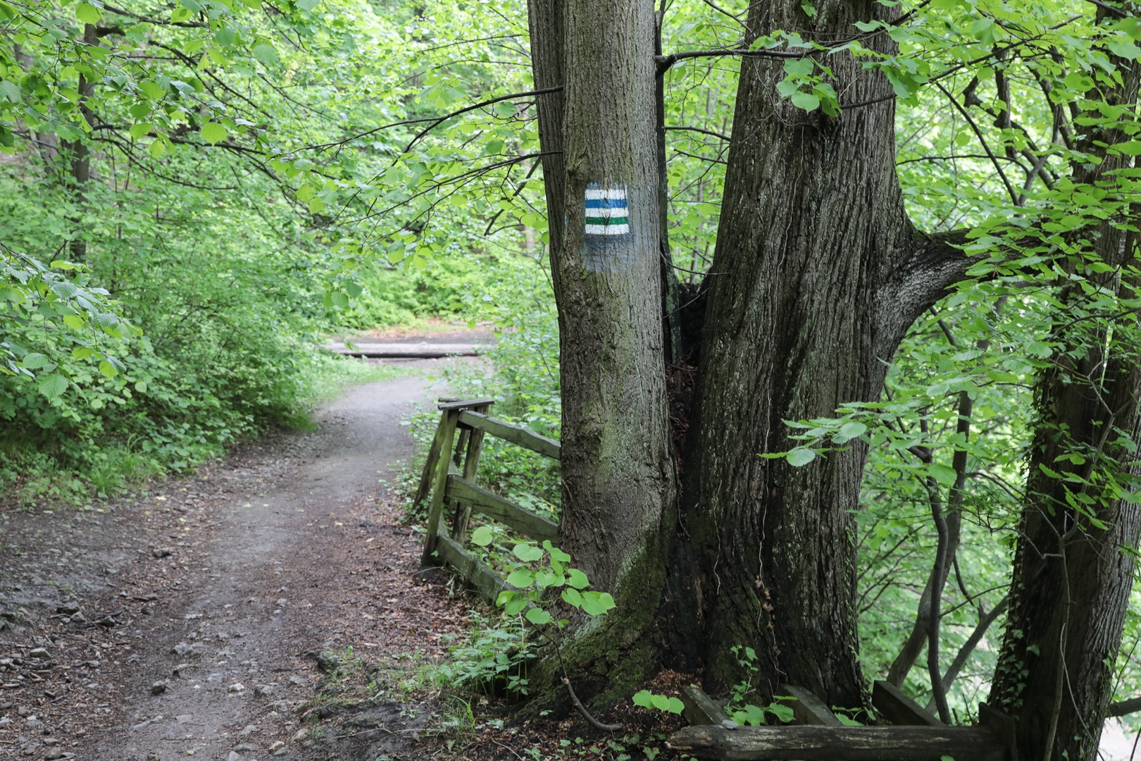 Nowy quest w Książańskim Parku Krajobrazowym