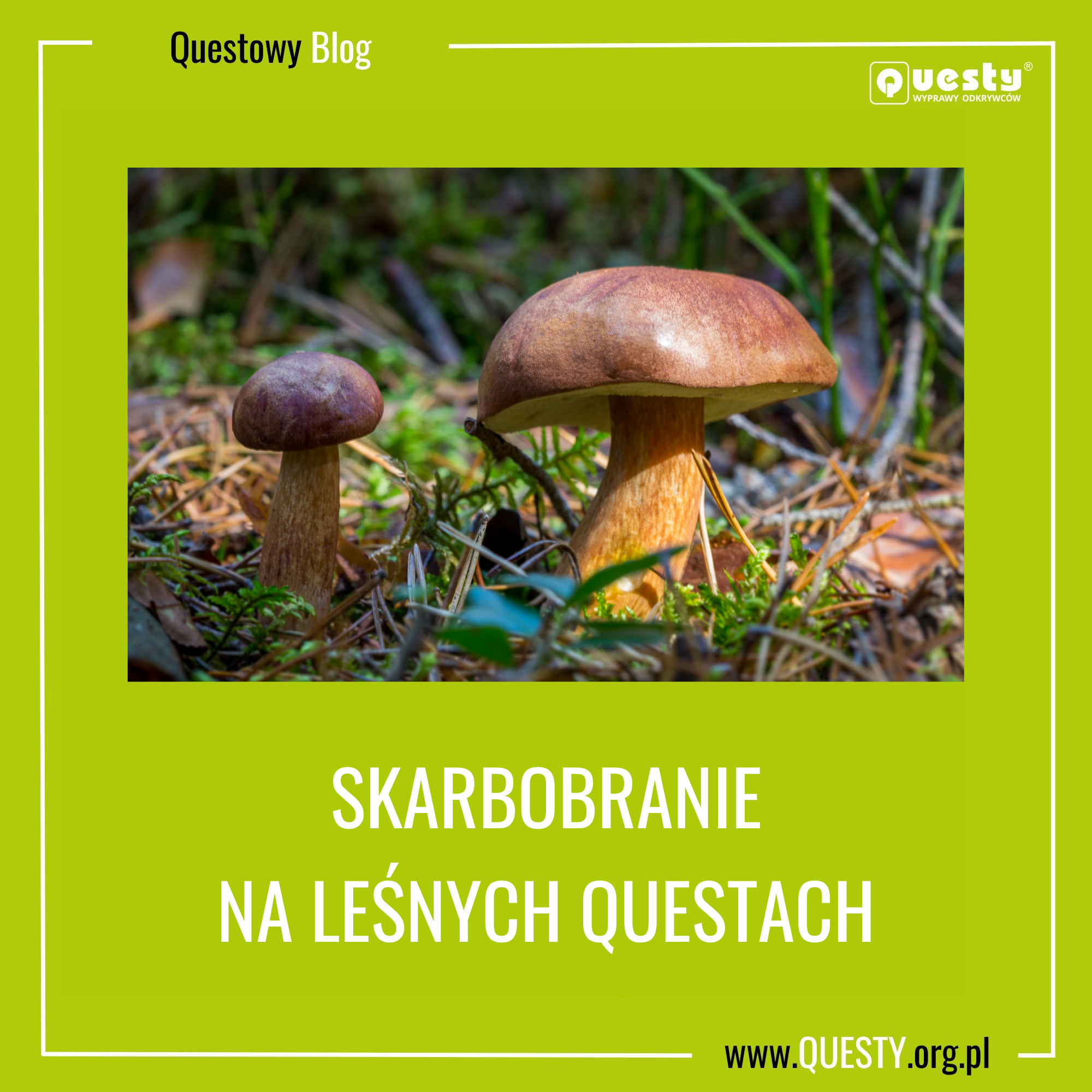 Skarbobranie na leśnych questach