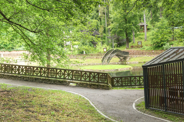 Zdrowo przez naturę w Głuchołazach