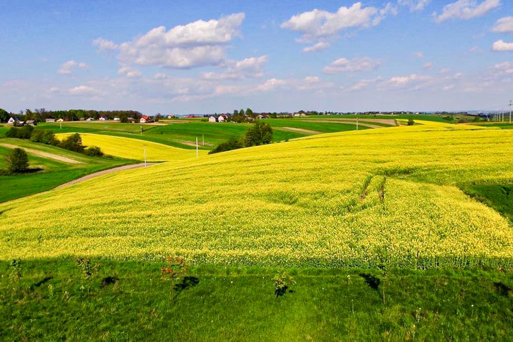 Z Celiną przez Celiny