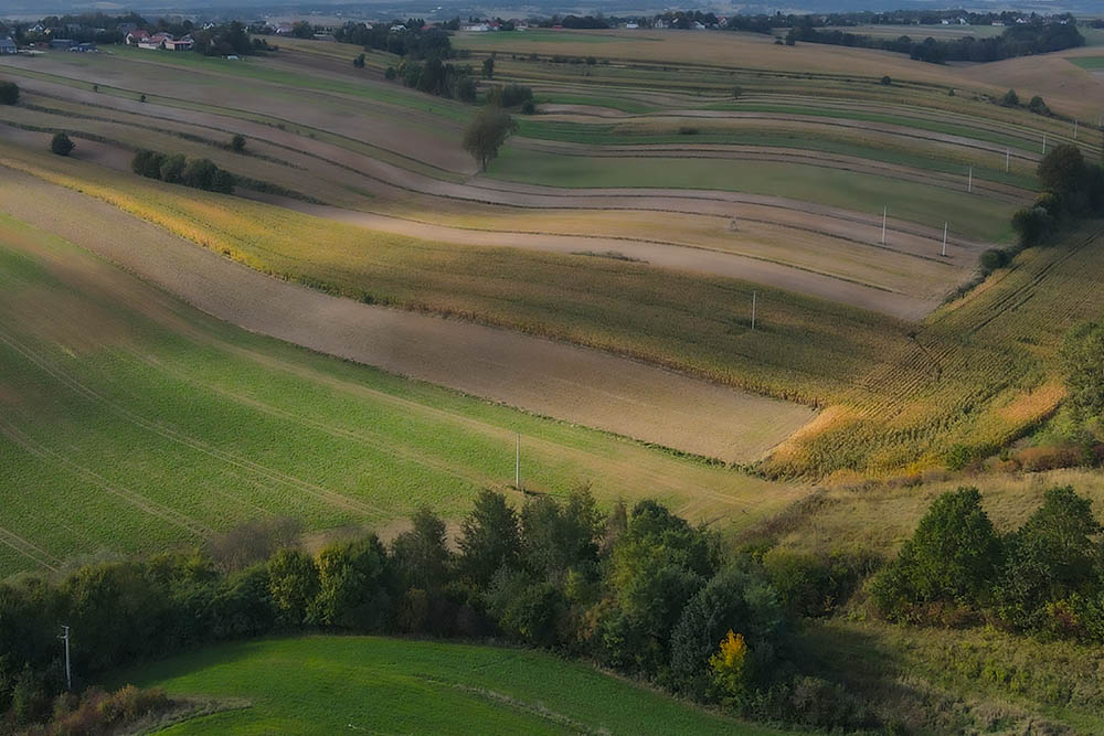 Z Celiną przez Celiny