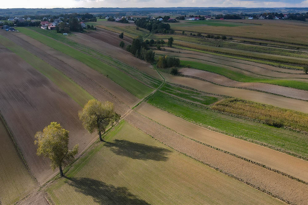 Z Celiną przez Celiny