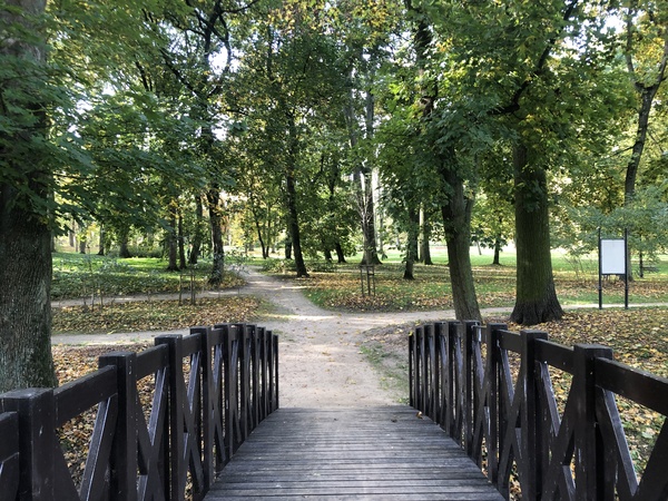 Parkowe zagadki w Moszczenicy