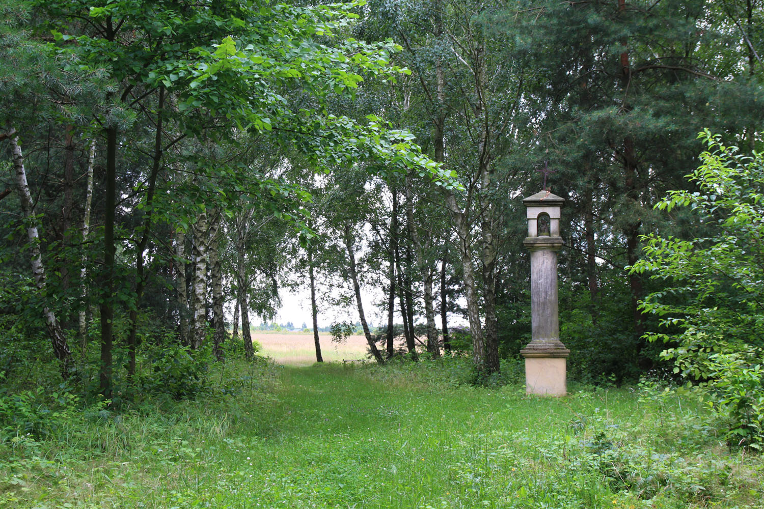 Cuda sześciu wieków nad Zalewem Sulejowskim