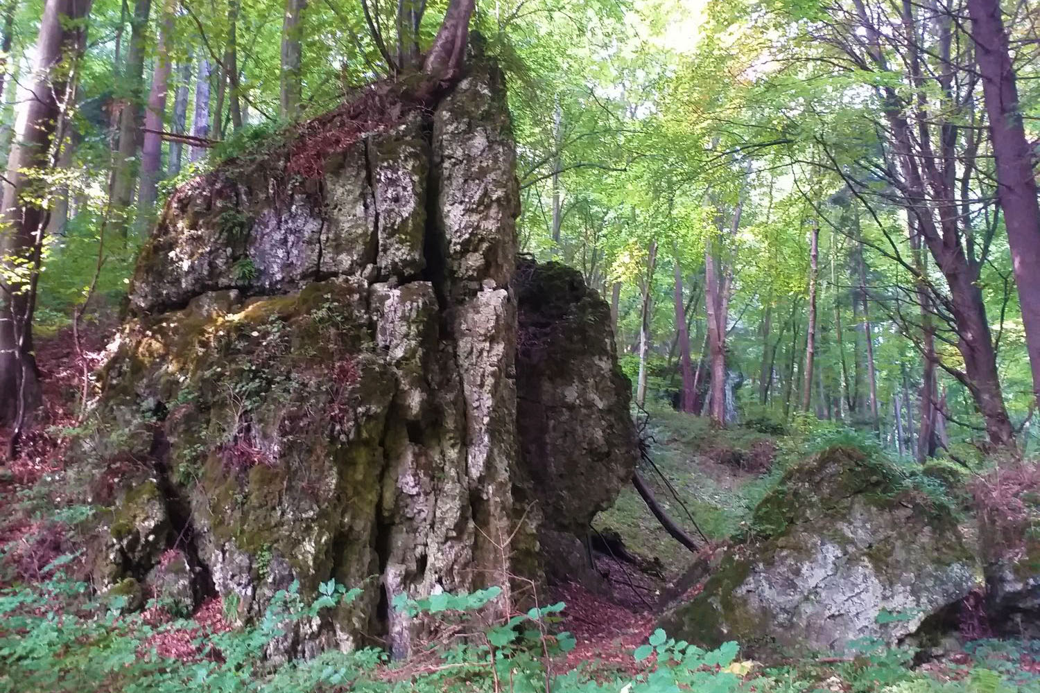 Z Ojcowa do Grodziska - tajemnice Doliny Młynów