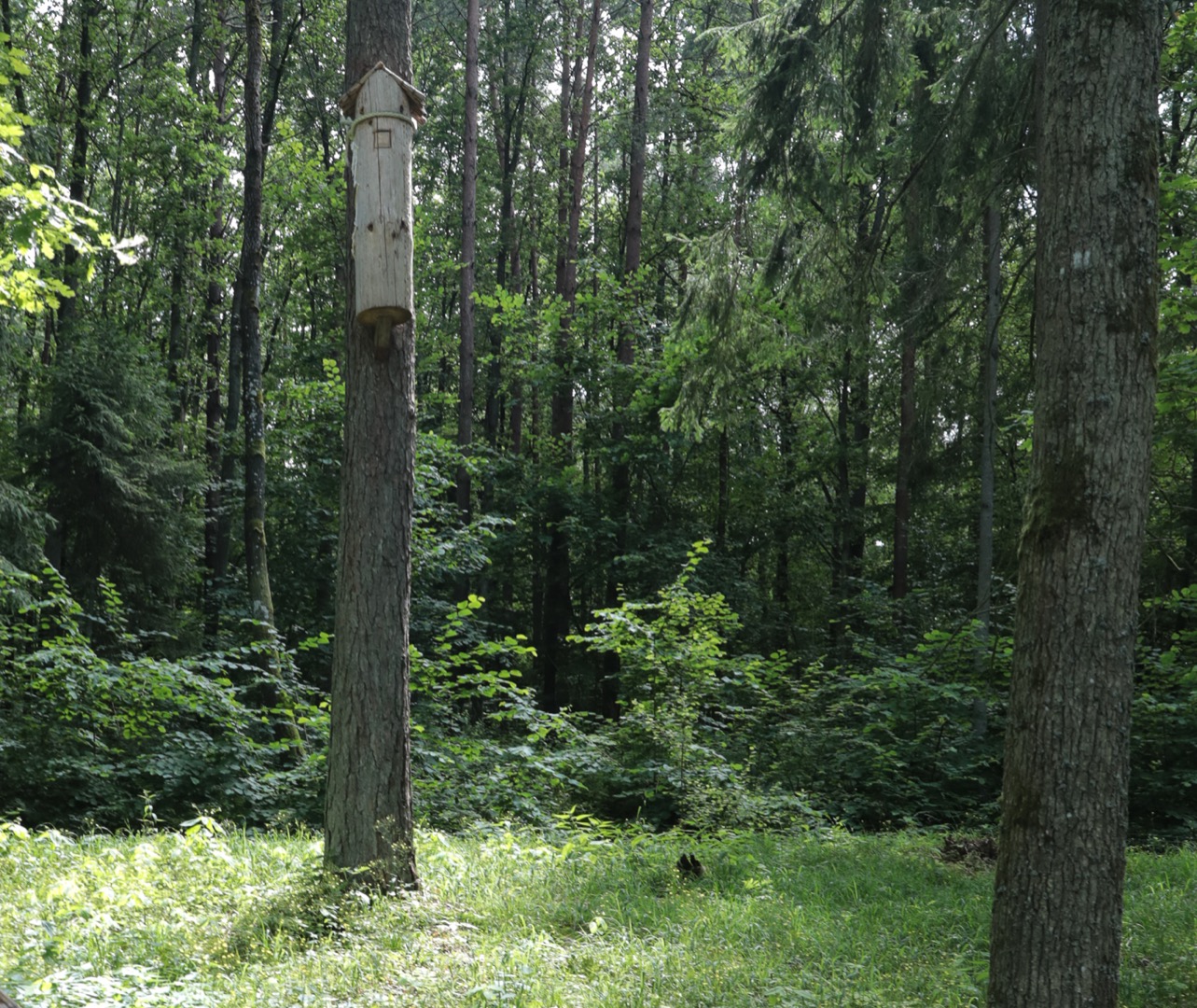 Wyprawa po Leśnym Arboretum Warmii i Mazur