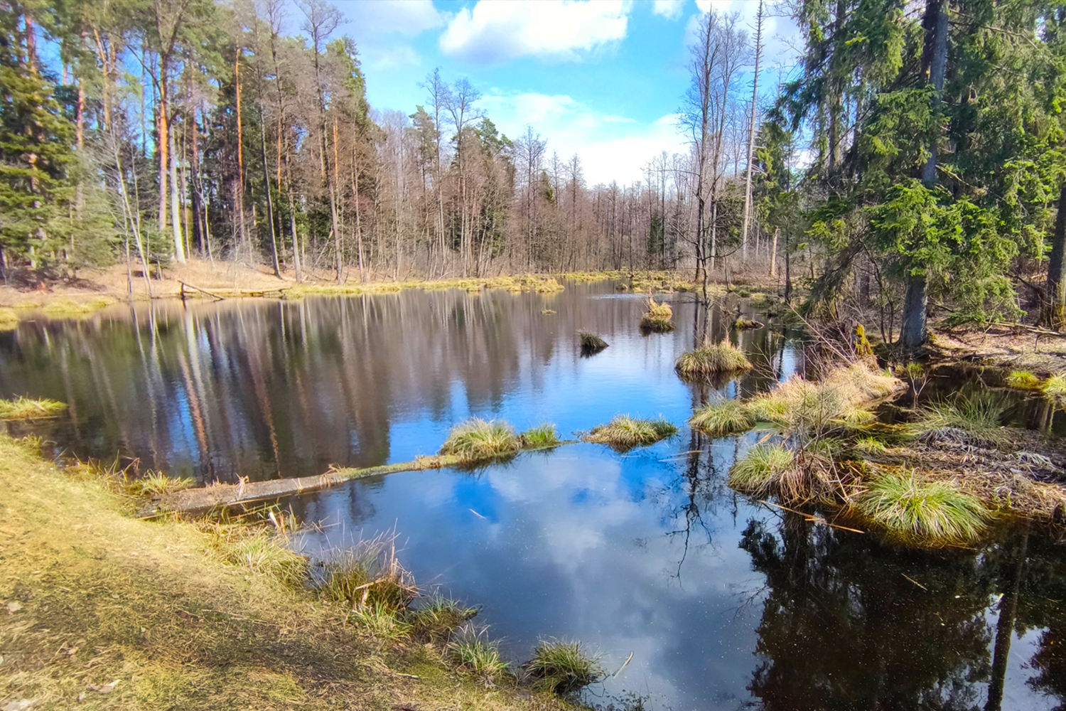 Szlakiem czterech rezerwatów w Puszczy Kozienickiej