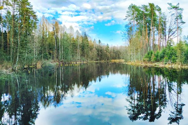 Szlakiem czterech rezerwatów w Puszczy Kozienickiej