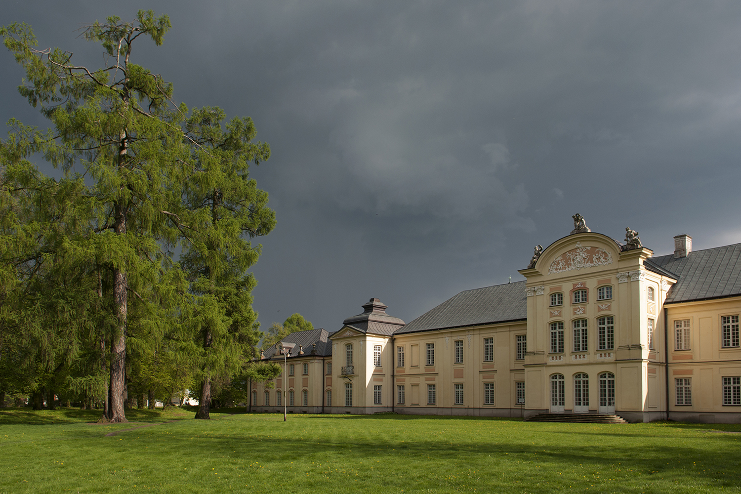 Śladami radzyńskiej historii – opowieści młodego skrzypka