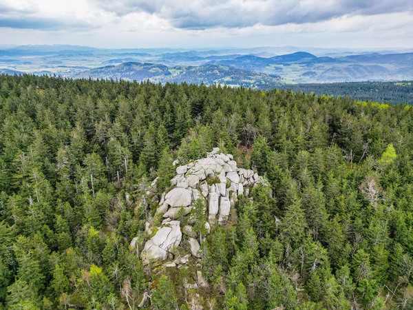 Przyrodnicza wyprawa na Skalnik