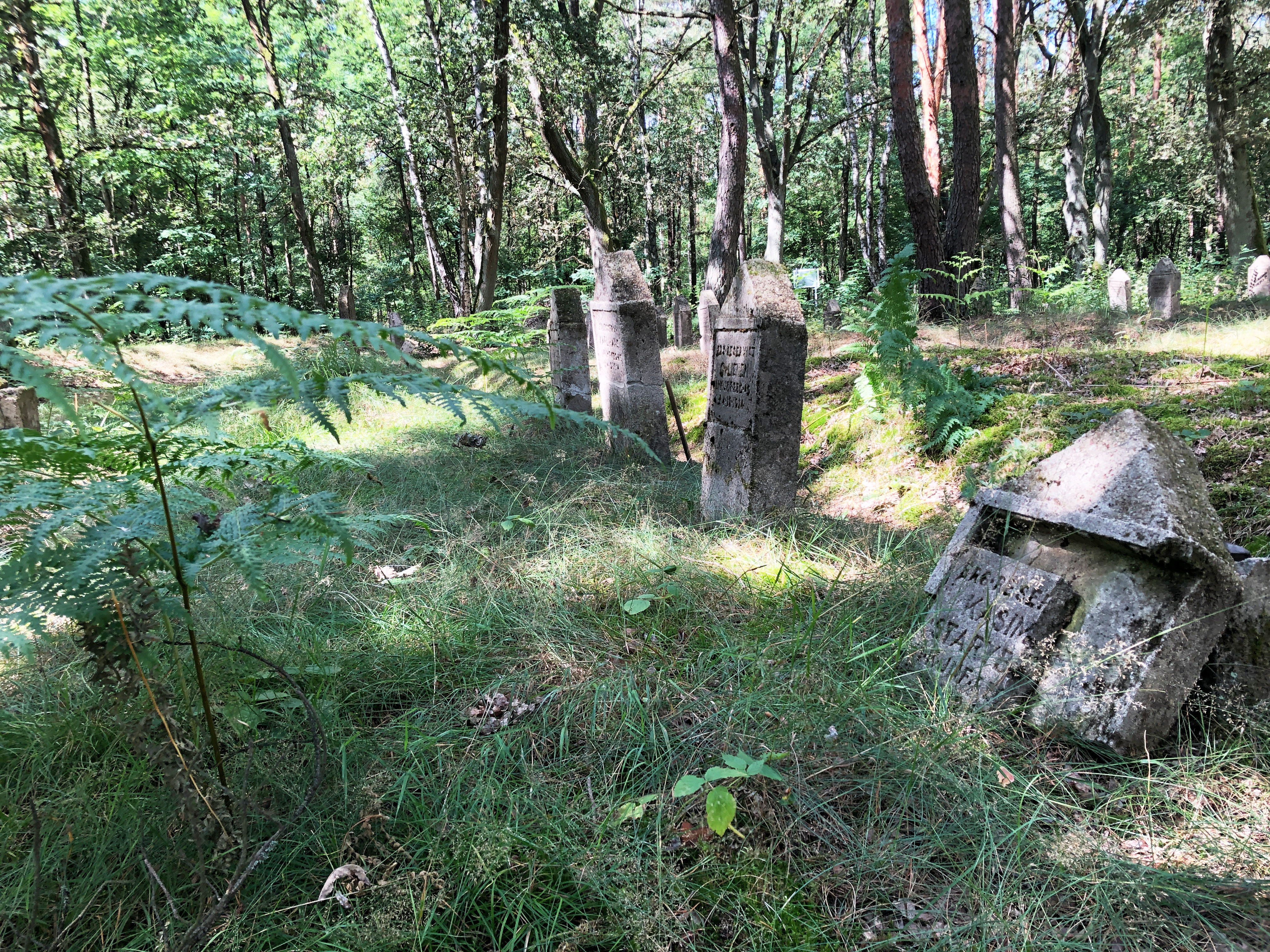 Historia okolic Pabianic – część północna