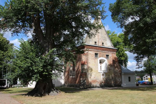 Historia Buczku w queście zamknięta