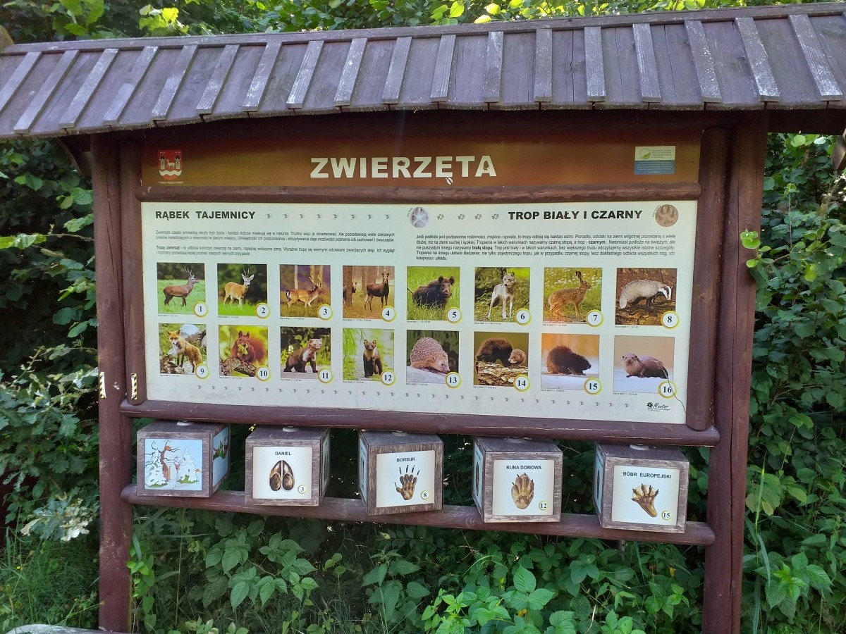 Rajd Szlakami Chojnowskiego Parku Krajobrazowego. Leśna kuchnia
