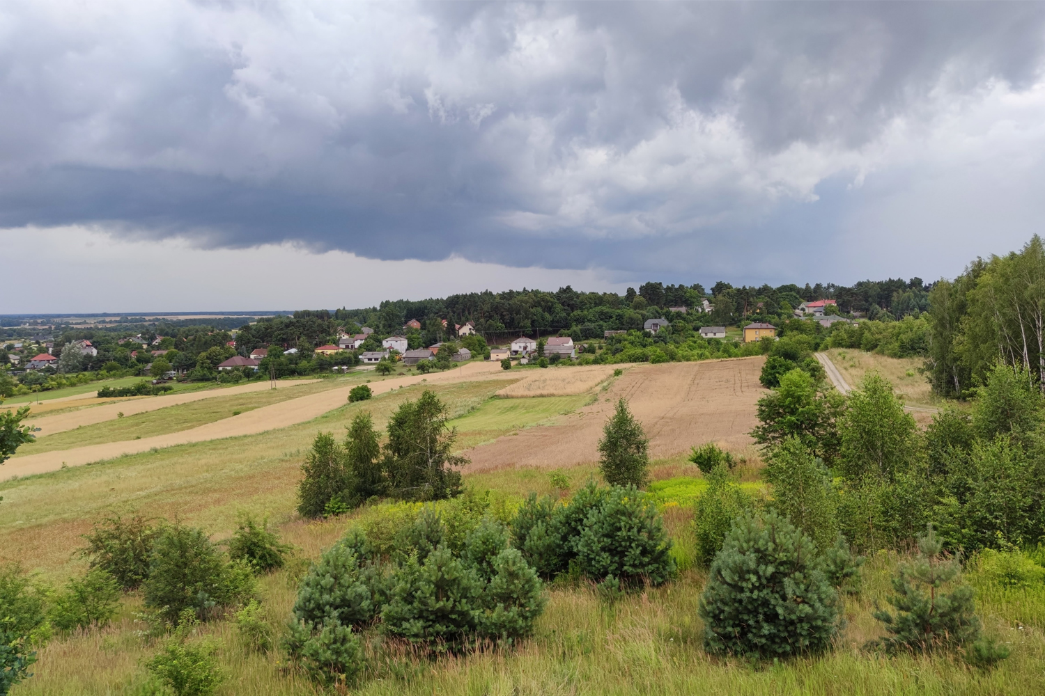 Wola Uhruska – nadbużański skarb