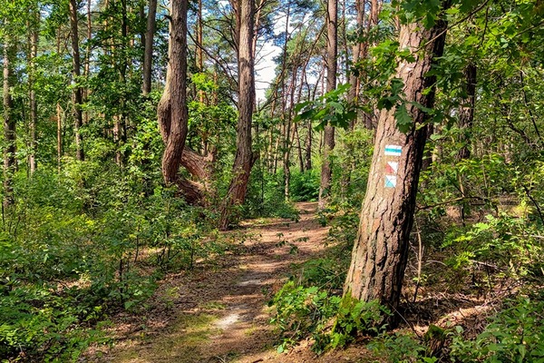 Przyroda to przygoda! Poznaj Kampinoski Park Narodowy