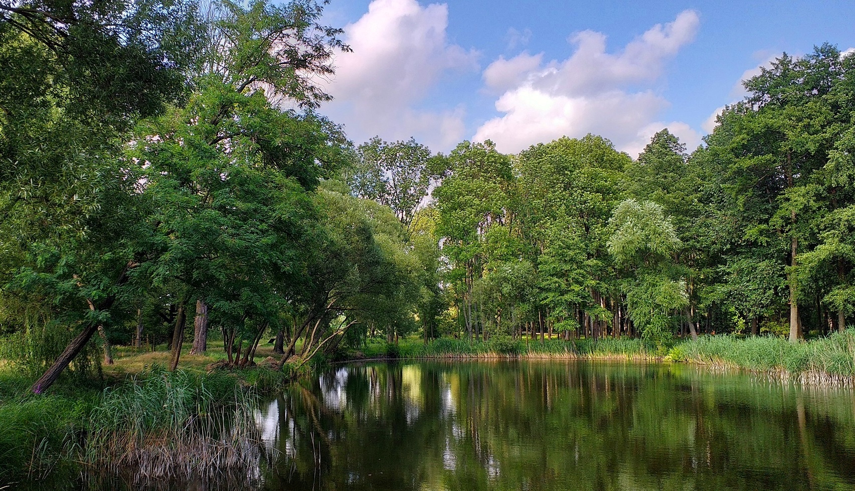 Śladami rodu Łaskich po parku miejskim